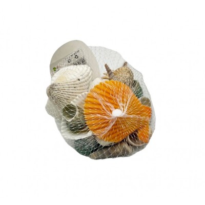 ΔΙΑΚΟΣΜΗΤΙΚΑ ΚΟΧΥΛΙΑ ΕΝΥΔΡΕΙΟΥ